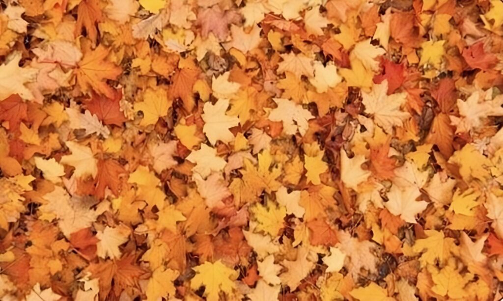 Los mejores acertijos visuales de personajes y títulos de peliculas de cine famosas personajes y figuras ocultos con respuesta