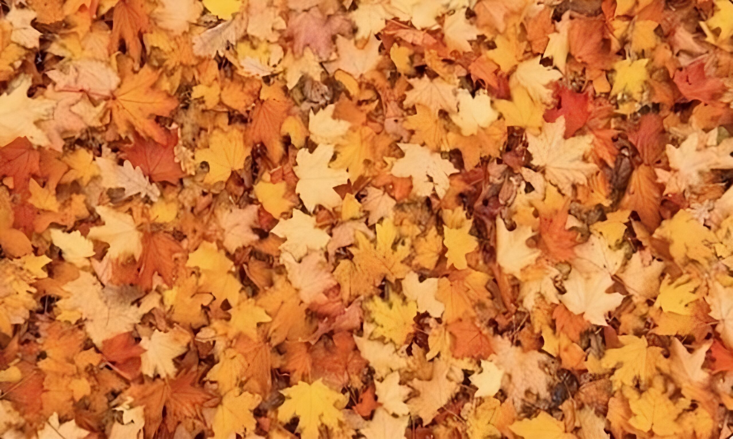 Los mejores acertijos visuales de personajes y títulos de peliculas de cine famosas personajes y figuras ocultos con respuesta